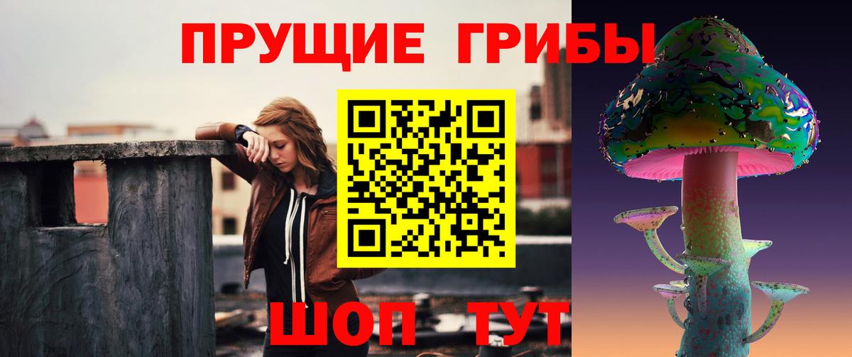 Кыштым  Галлюциногенные грибы прущие грибы  купить  цена  Вход с VPN 